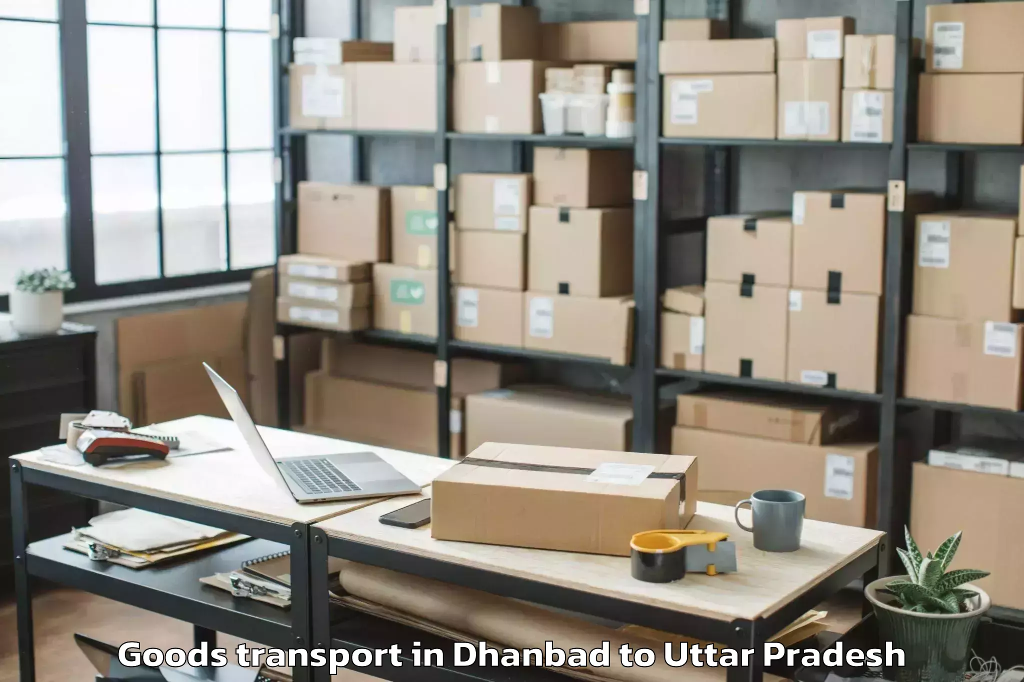 Professional Dhanbad to Babina Goods Transport